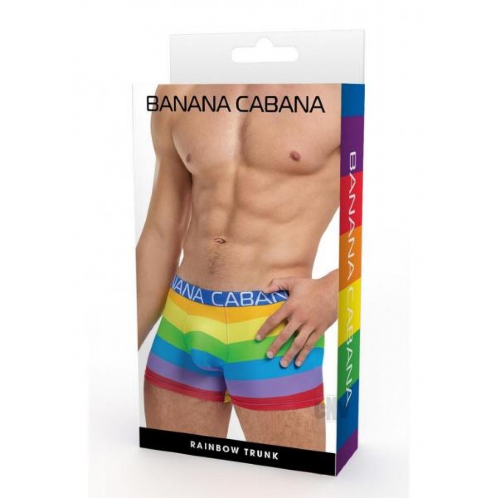 Rainbow Pride Swim Trunks - S/M