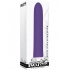 Evolved Rechargeable Slim Vibrator - Purple