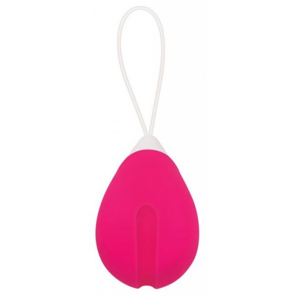 Rechargeable Remote Control Egg Vibrator - Pink