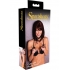 Sportsheets Collar With Nipple Clamps