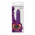 Lush Violet Purple Vibrator