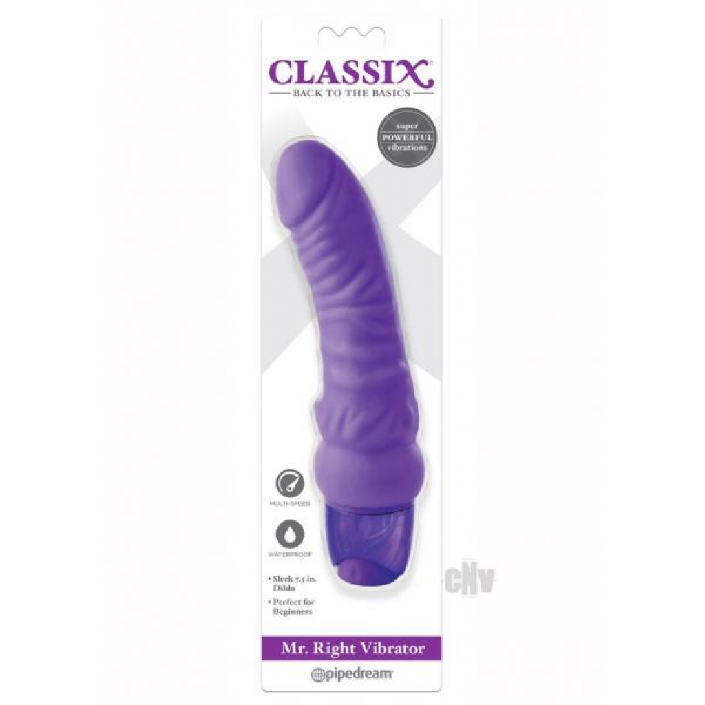 Mr Right Vibrator – Purple