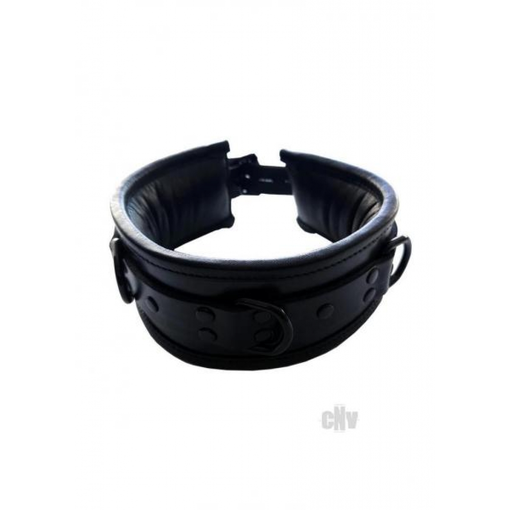 Padded Leather Collar - Black