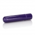 Tiny Teasers Bullet Vibrator in Purple