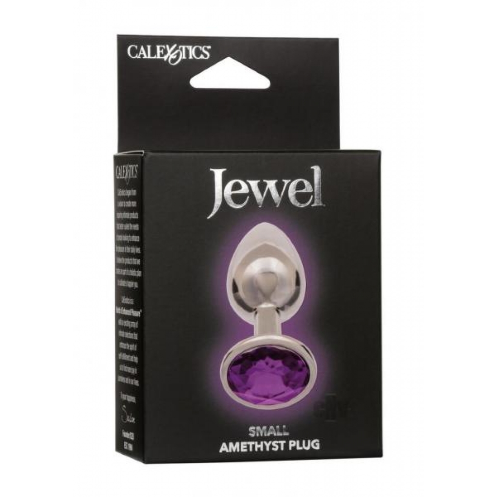 Jewel Small Amethyst Plug - Purple