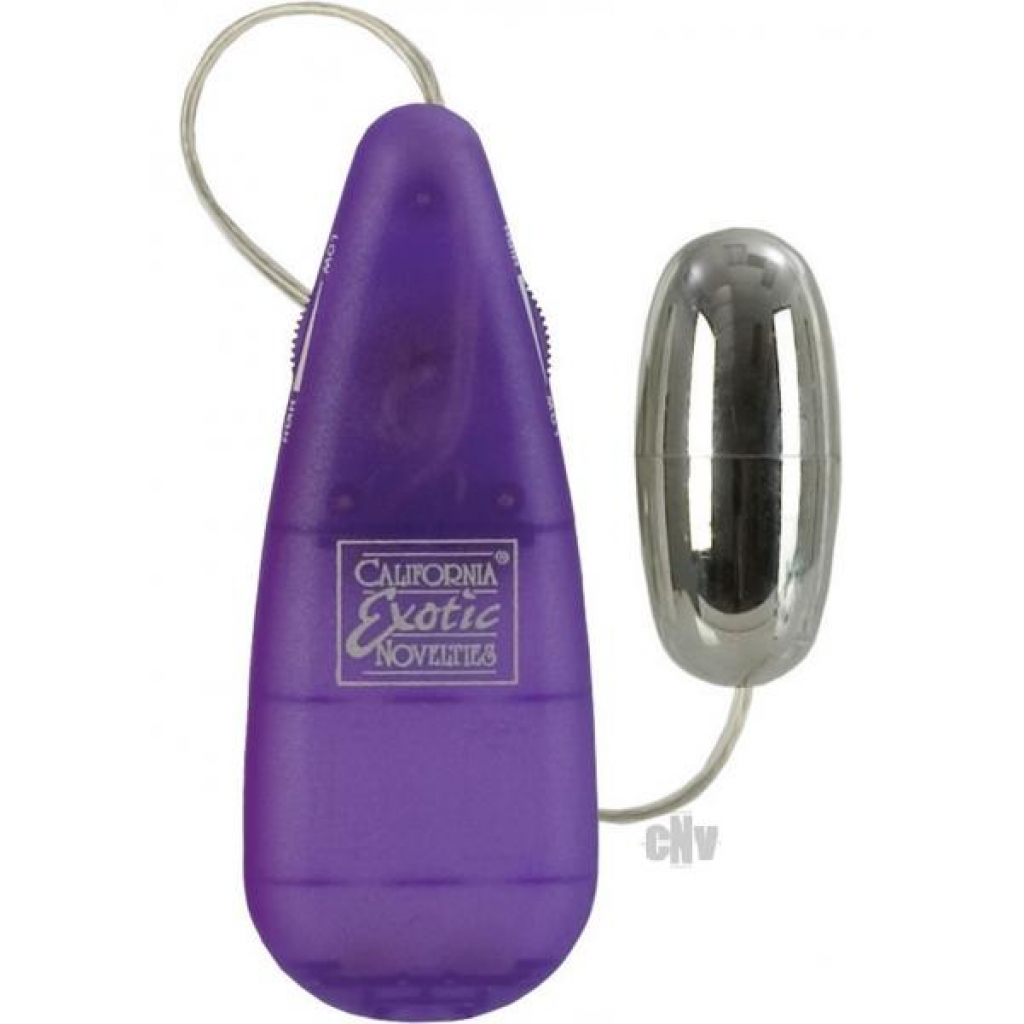 Teardrop Bullet Vibrator with Purple Controller