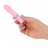 Pillow Talk Flirty Bullet Vibrator - Pink