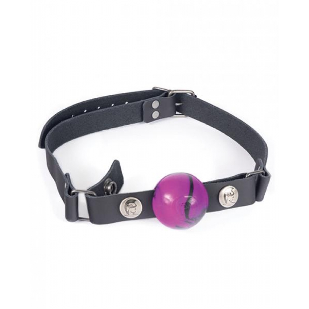 Spartacus Nickel-Free Small Ball Gag with Adjustable Straps