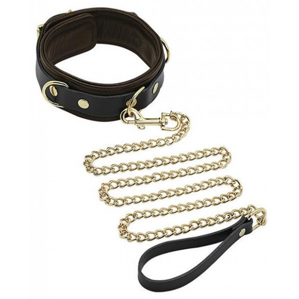 Spartacus Collar & Leash - Brown Leather with Gold Accent