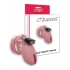 CB-6000 Male Chastity Device with Lock Set