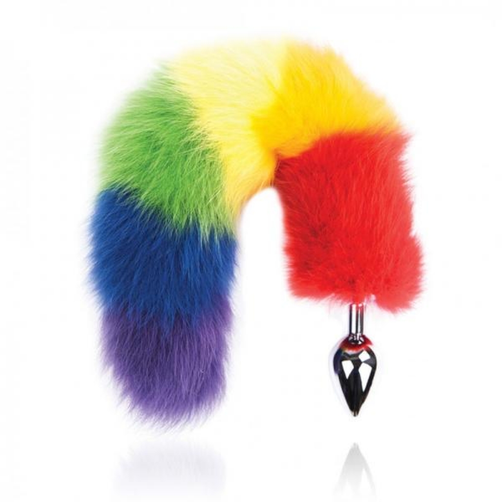 Rainbow Foxy Tail and Stainless Steel Butt Plug