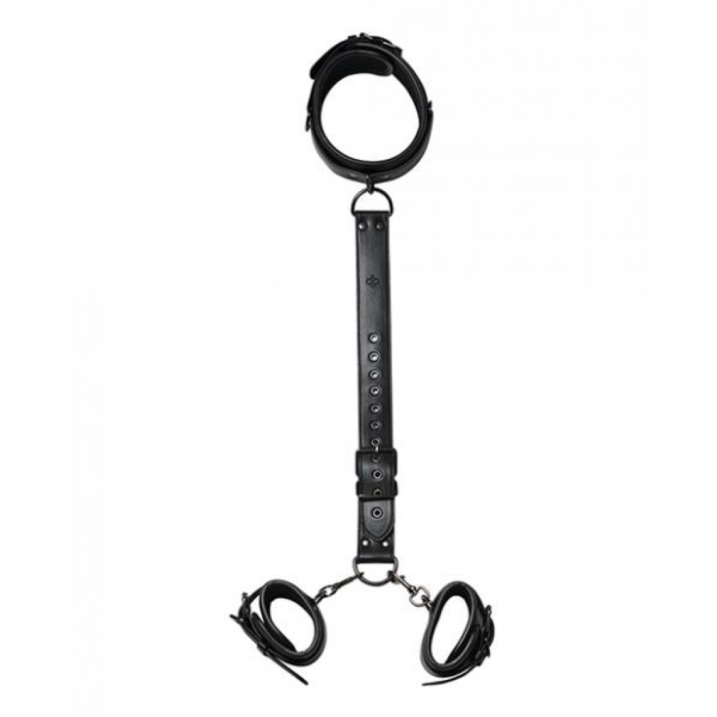 Locking Harness Collar To Wrist Restraints - Black