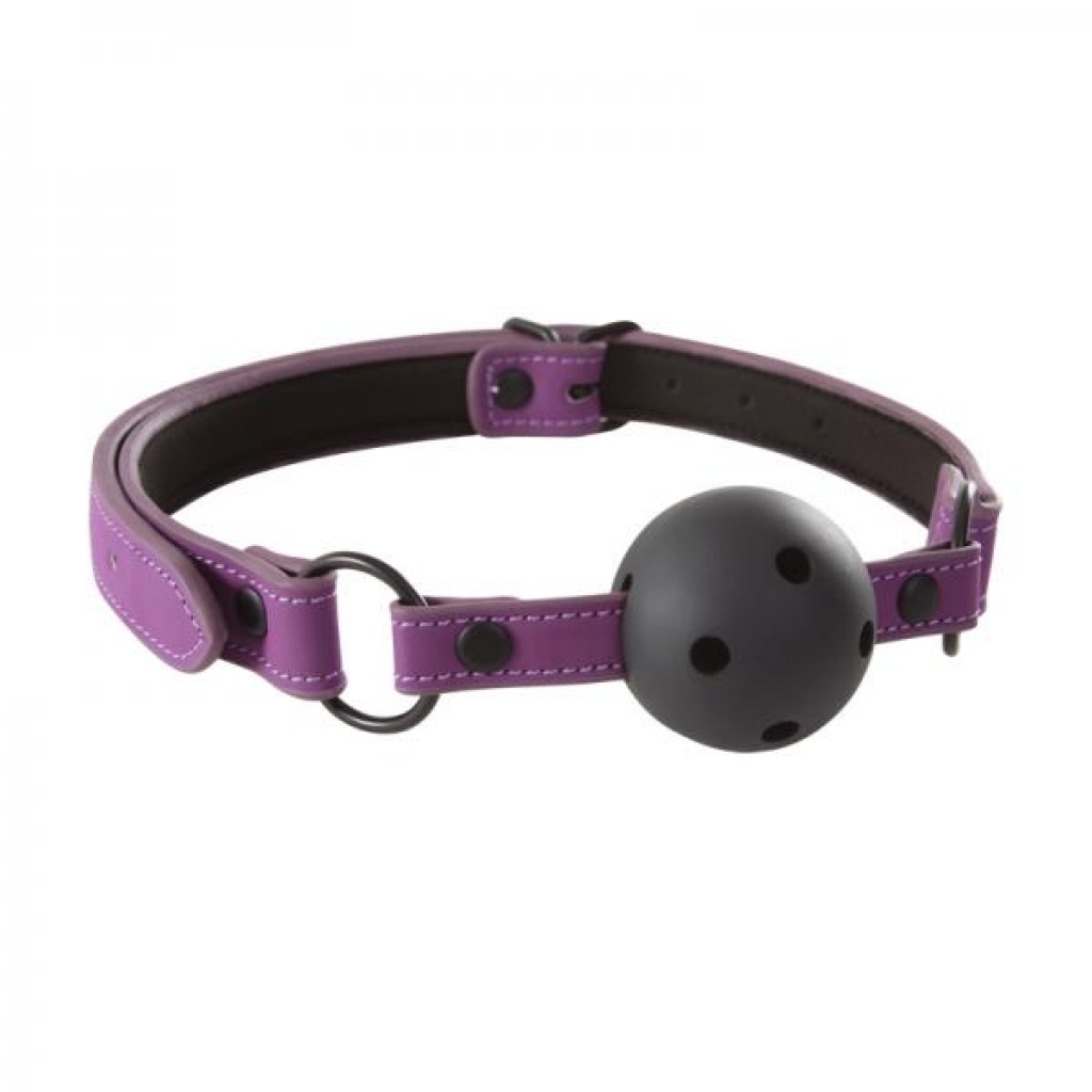 Lust Collection Purple Bondage Ball Gag