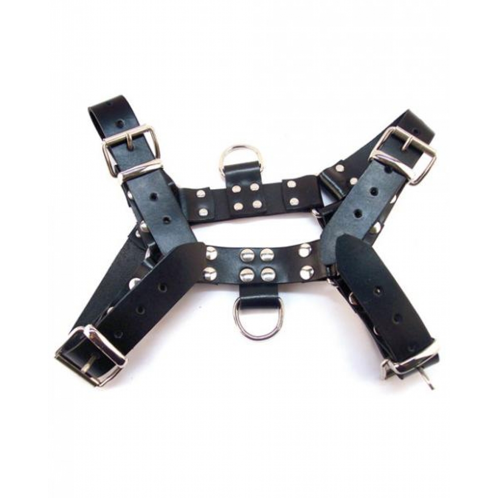 Rouge Over The Head X-Large Harness