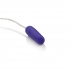 Whisper Micro Bullet - Compact Purple Pleasure