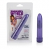 Shane's World Sparkle Vibrator - Charming Purple Vibe