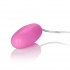 Pocket Exotics Pink Passion Bullet Vibrators