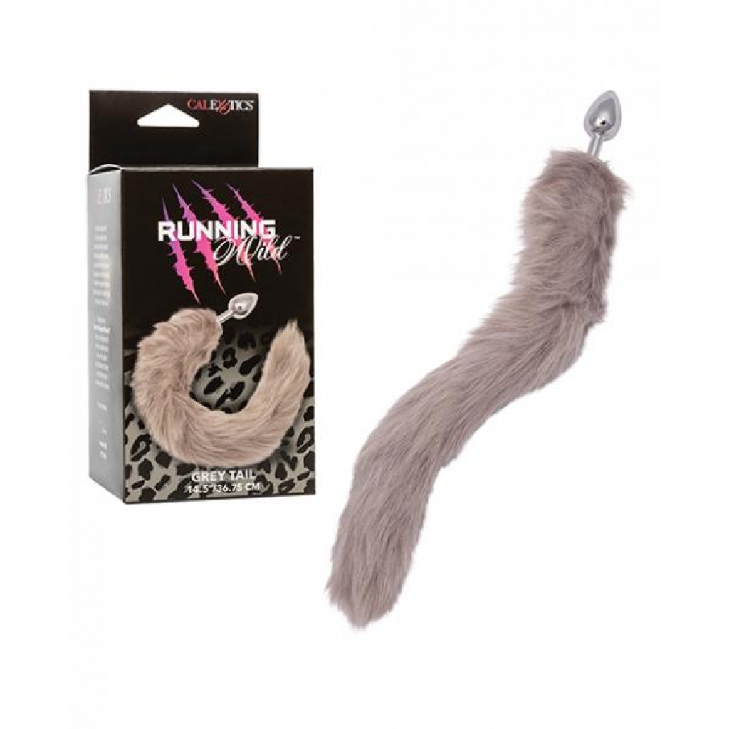 Premium Metallic Anal Probe with Tail