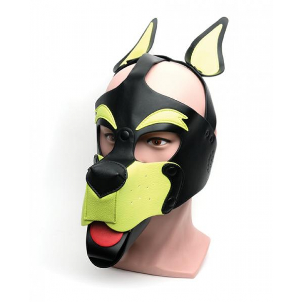 665 Playful Pup Hood - Striking Black/Yellow Gear