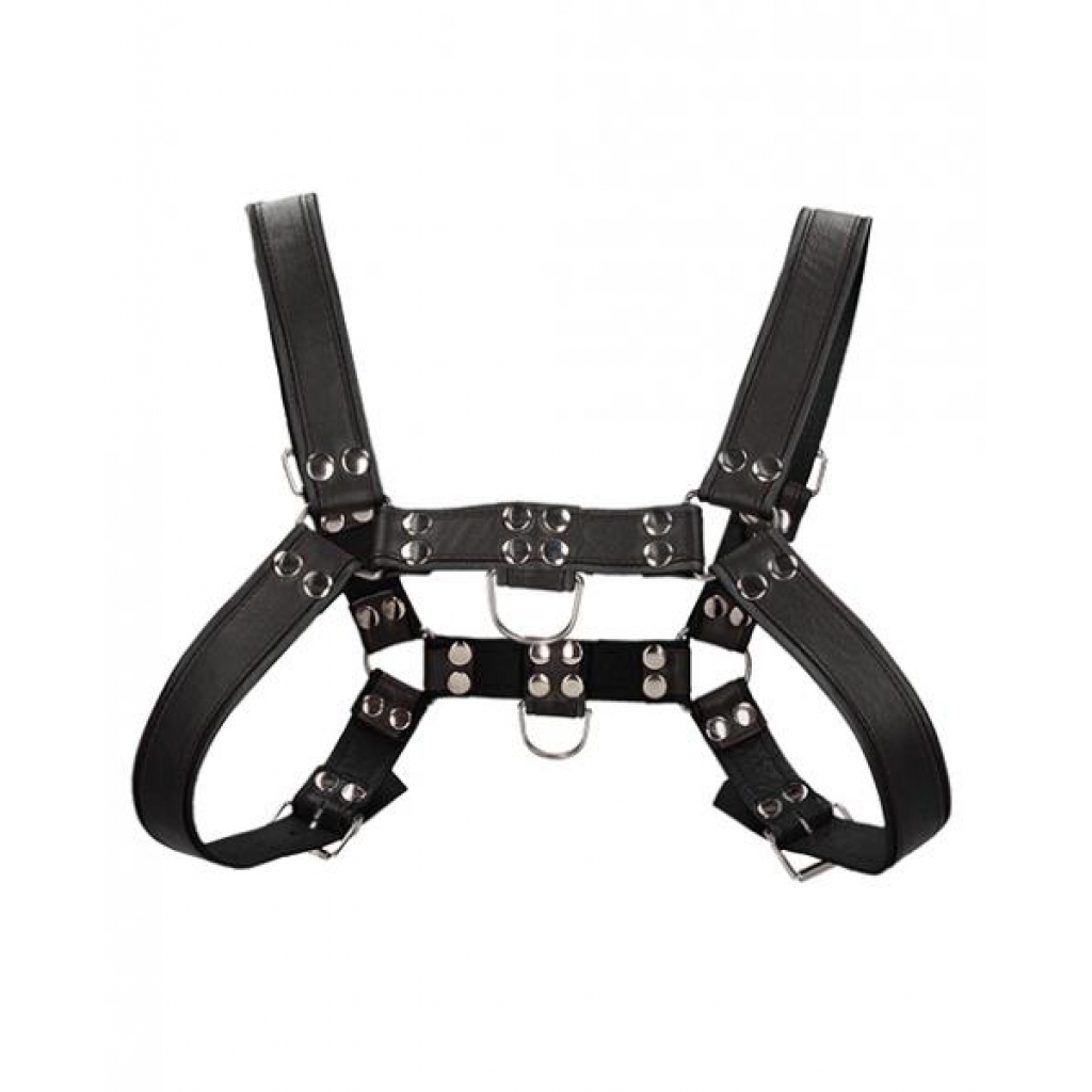 Shots Uomo Chest Bulldog Harness - Large/XL