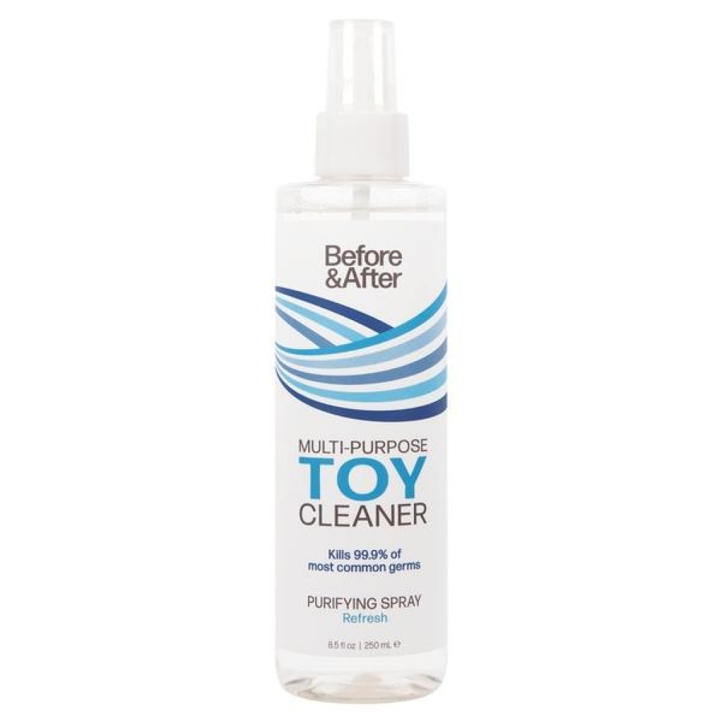 Before & After Toy Cleaner Spray - 8.5oz