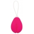 Rechargeable Egg Pink Vibrator - Remote Control