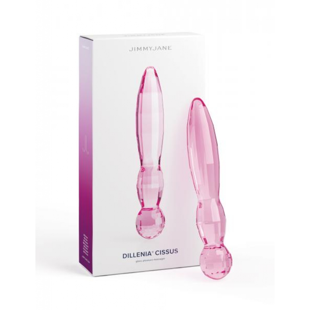 Jimmyjane Dillenia Cissus - Handcrafted Glass Dildo