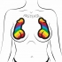 Pastease Rainbow Pride Nipple Pasties