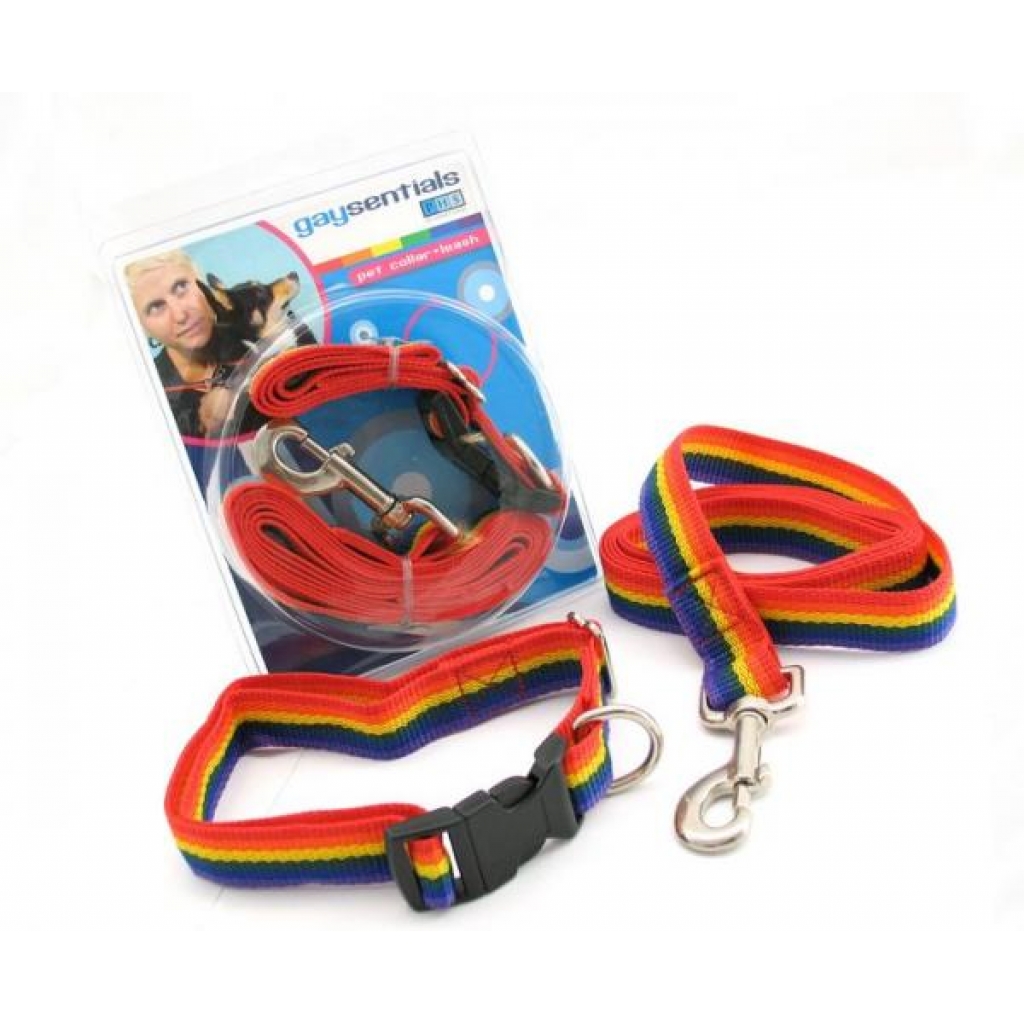 Gaysentials Pet Collar and Leash Set - Large