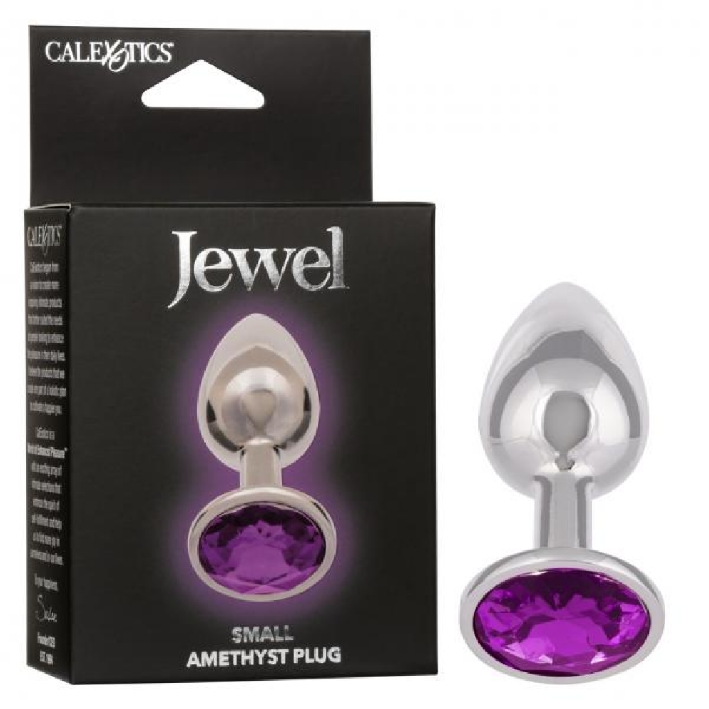 Jewel Small Amethyst Plug - Elegant Stimulation