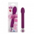 10 Function Risque Tulip Vibrator - Purple