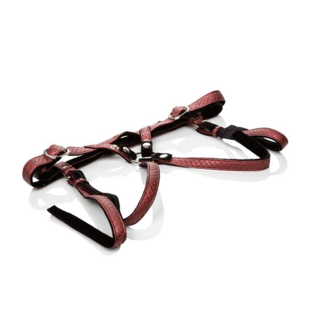 Regal Duchess Harness - Her Royal Harness - Red