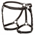 Euphoria Riding Thigh Harness