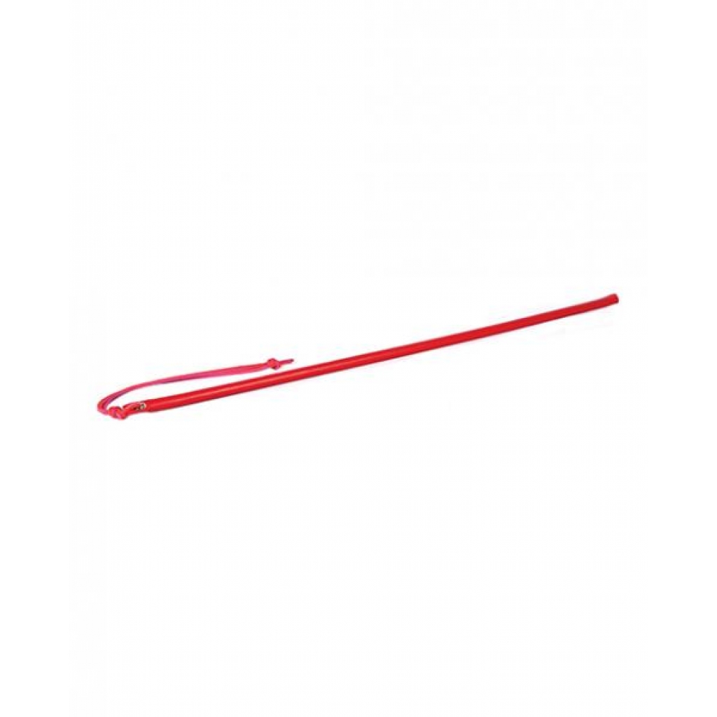 24-Inch Leather Wrapped Cane - Red