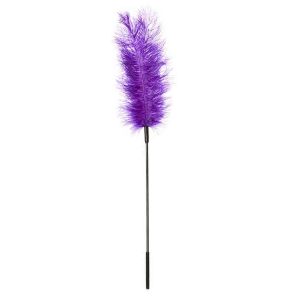 Purple Ostrich Feather Ticklers