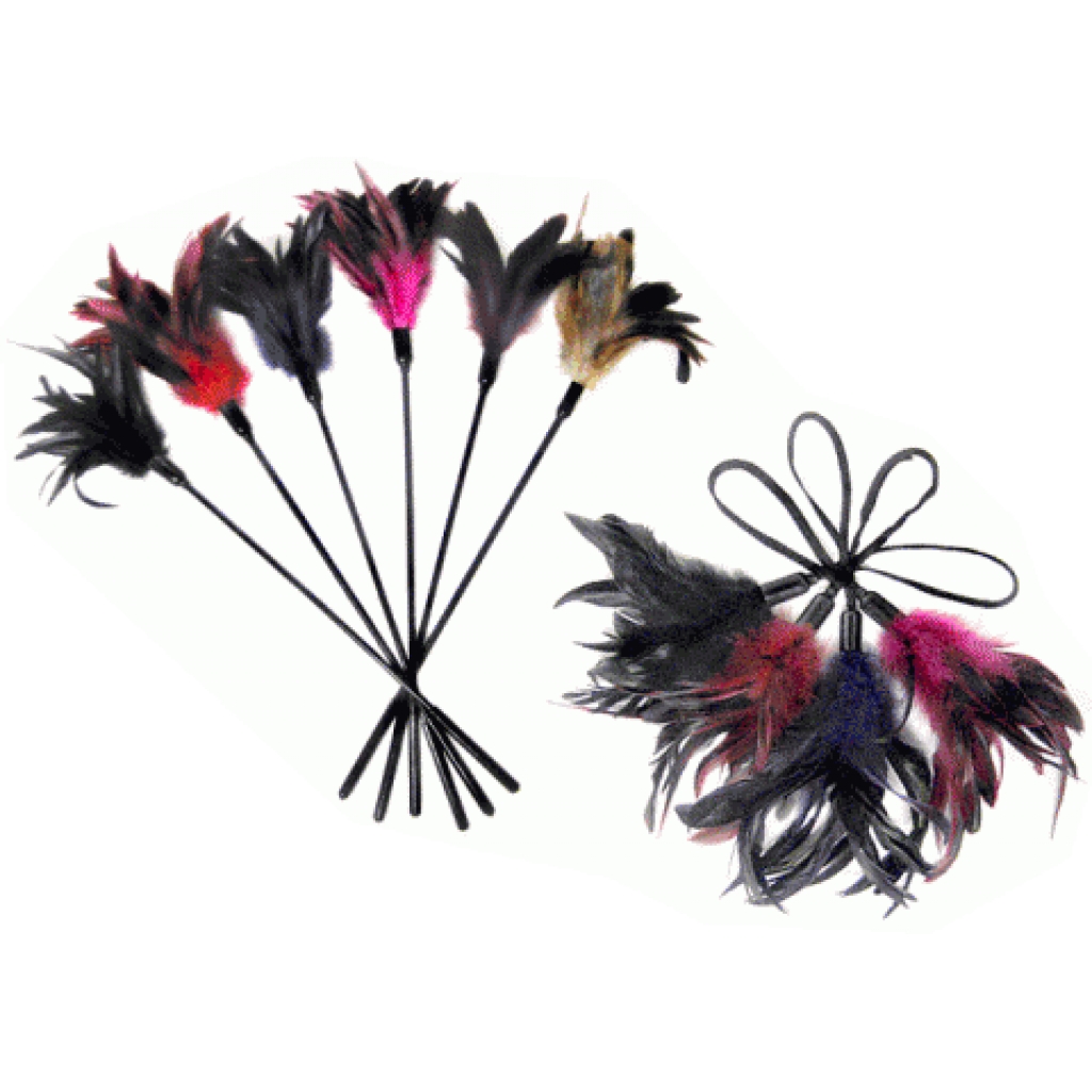 Starburst Feather Tickler - Black Elegance