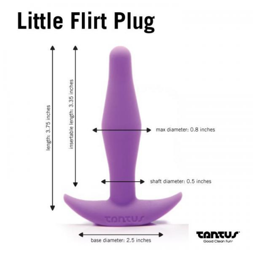 Little Flirt Purple Anal Plug