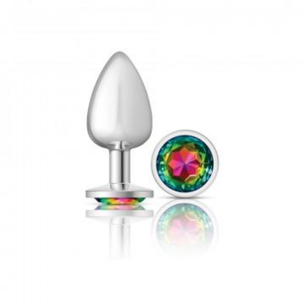 Cheeky Charms Round Rainbow Large Silver Plug - Vibrant Aesthetics