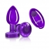 Cheeky Charms Vibrating Metal Plug - Purple Medium with Remote