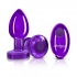 Cheeky Charms Vibrating Metal Plug - Purple Medium with Remote