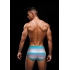 Envy Men’s Rainbow Pride Briefs - Teal S/M