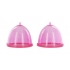 Pink Breast Pumps