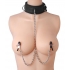 Submission Collar & Nipple Clamp Union