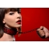 Crimson Tied Collar With Leash - Red & Black