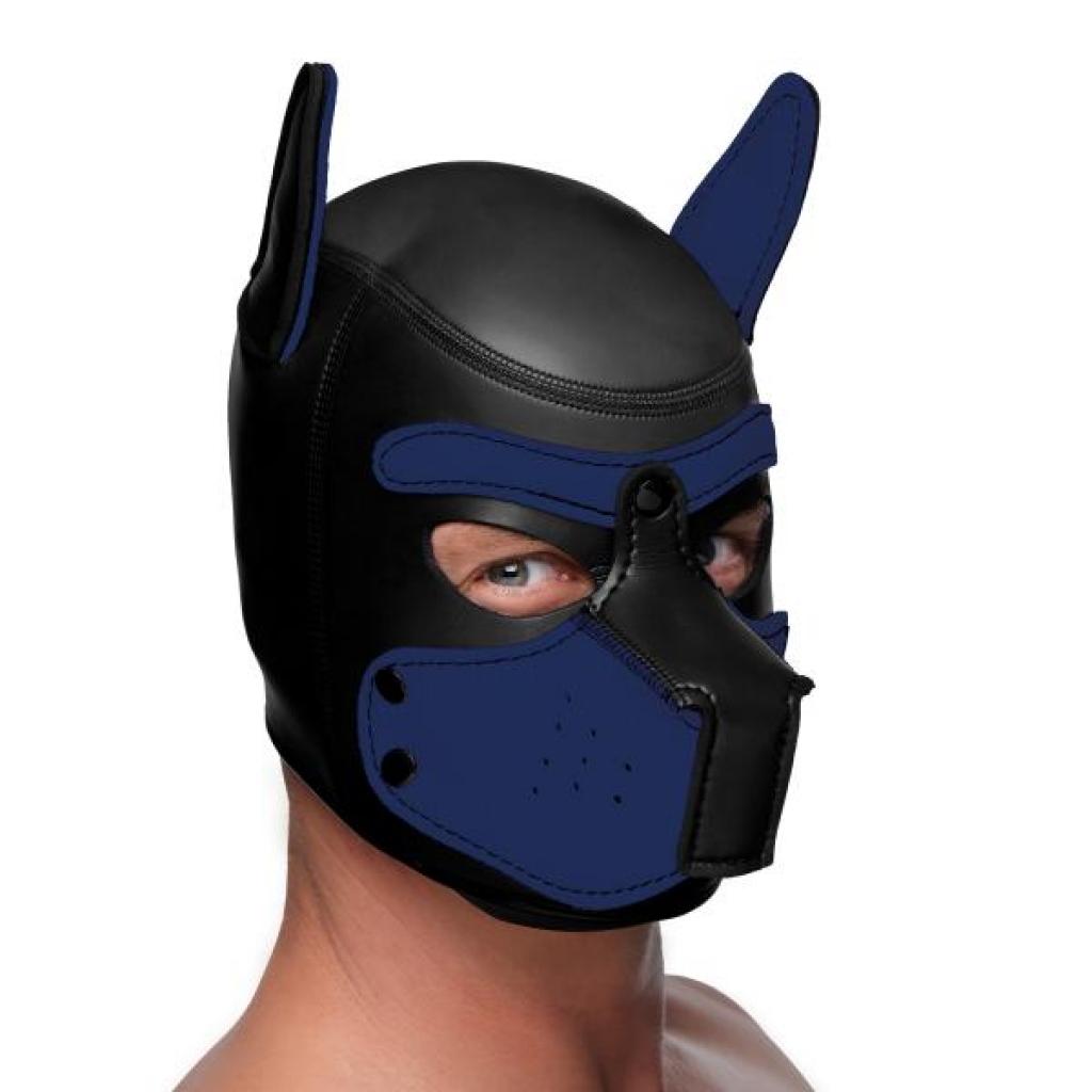 Spike Neoprene Puppy Hood - Blue O/S