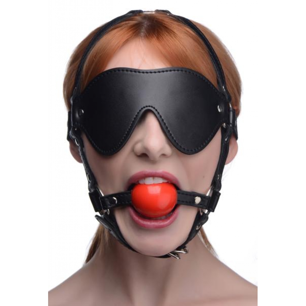 Blindfold Harness and Ball Gag - Complete Restraint System