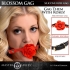 Breathable Rose Gag in Red