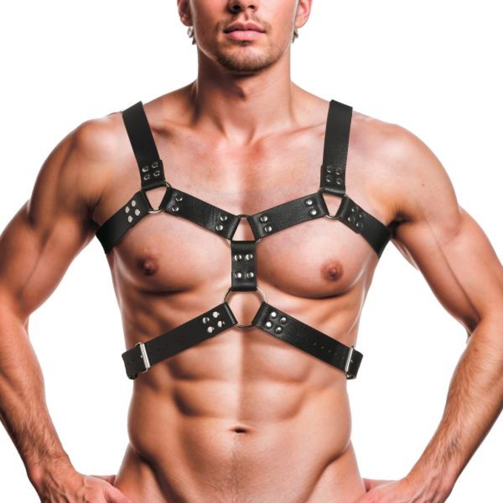 Adjustable 6 O-Ring Chest Harness