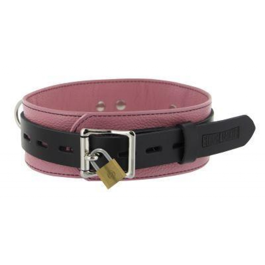 Strict Leather Deluxe Locking Collar - Pink and Black