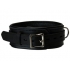 Strict Leather Premium Locking Collar